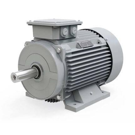 45 kW 1500 Devir Elektrik Motoru