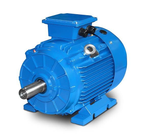 75 kW 1500 Devir Elektrik Motoru