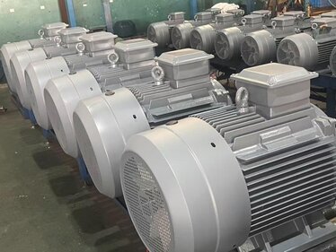 355 kW ya Kadar Yüksek Verimli Elektrik Motorları Mevcuttur -  DRG MOTOR,