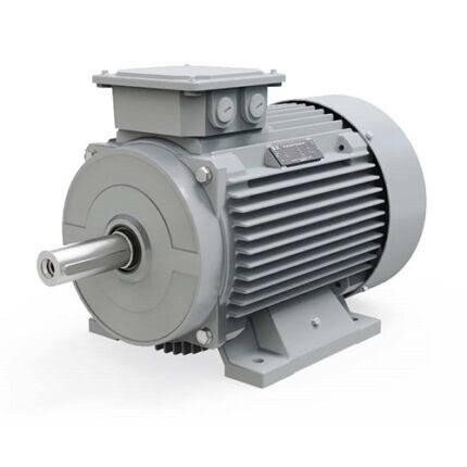 4 kW 3000 Devir Elektrik Motoru