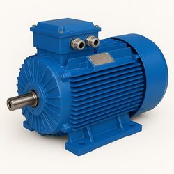 75 kW 3000 Devir Elektrik Motoru