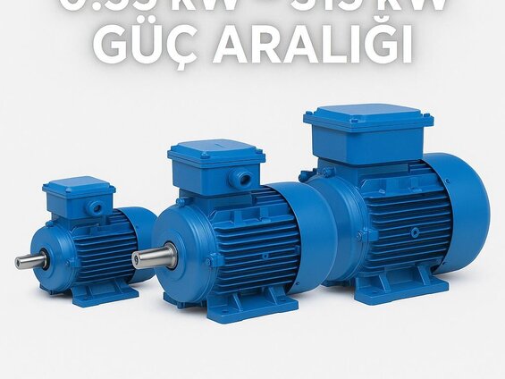 Sanayi Tipi Elektrik Motorları DRG MOTOR, İZMİR