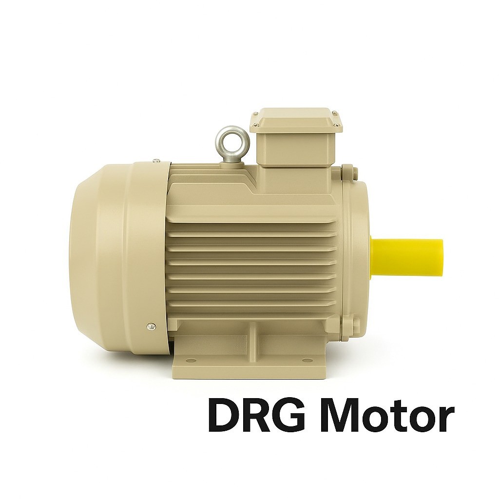 IE4 Elektrik Motoru Yüksek Verimli Tip - DRG MOTOR,
