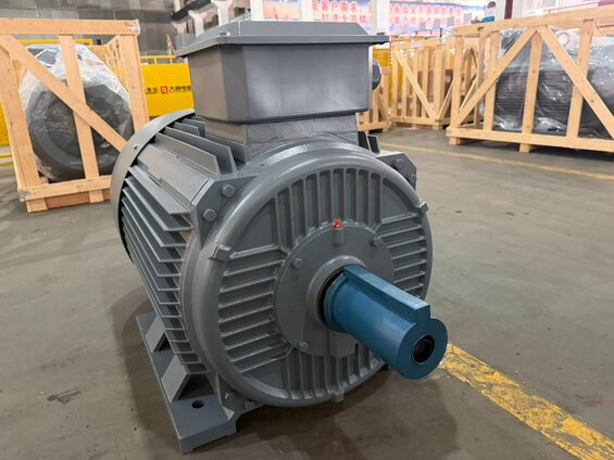 315 kW (430 HP) 1500 tr/min moteur triphasé IE3 à carter en fonte - DRG MOTOR