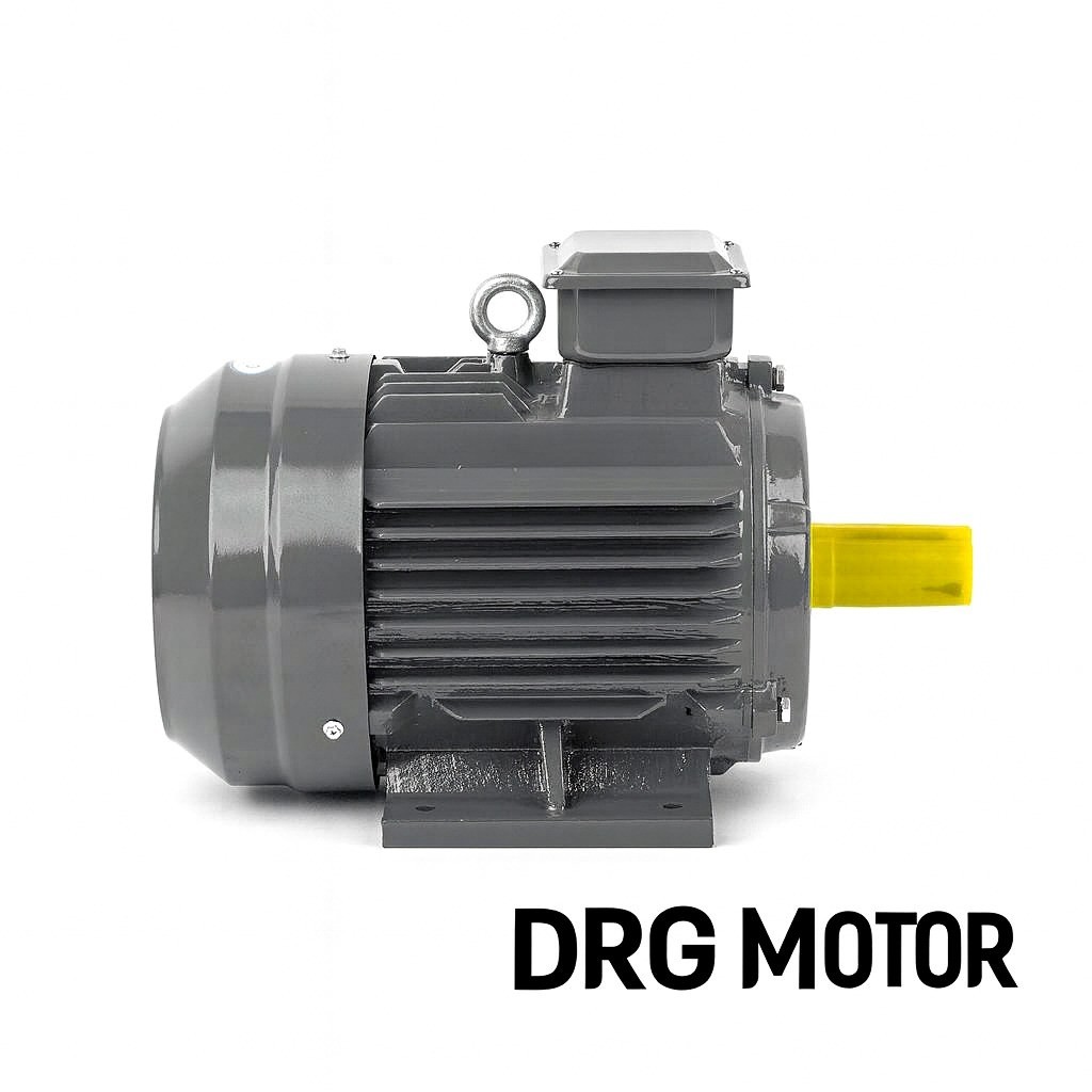 132 kW - 1500 d/d Pik Döküm Elektrik Motoru IE4 - DRG MOTOR,