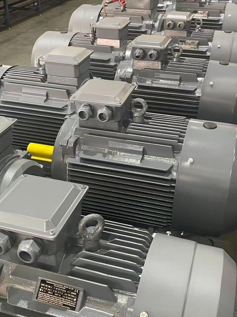 132 kW (175 HP) 1500 Dev/dk Pik Döküm Gövdeli IE4 Elektrik Motoru - DRG MOTOR,