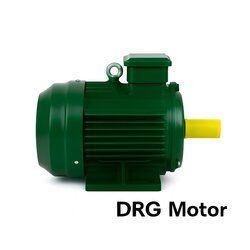 Elektrik Motoru Satışı Kısıkköy İzmir - DRG MOTOR,