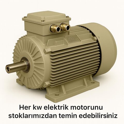 HIGH EFFICIENCY IE4 ELECTRIC MOTORS