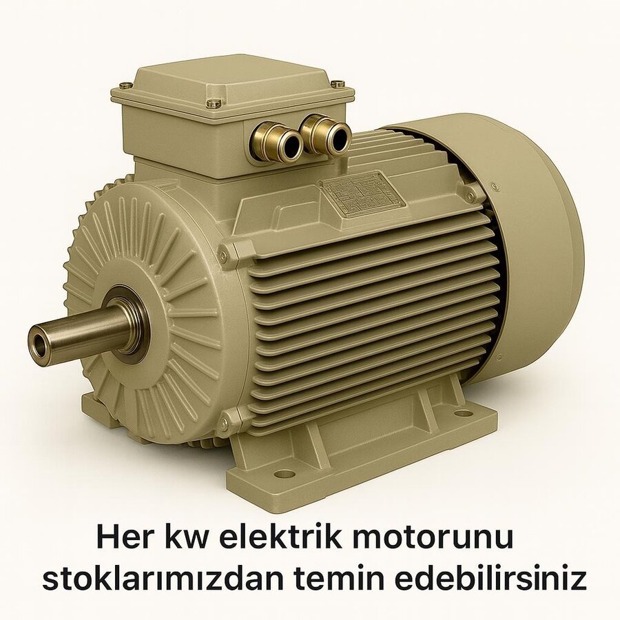 Yüksek Verimli IE4 Elektrik Motoru