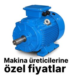 IE3 EFFICIENCY MOTOR