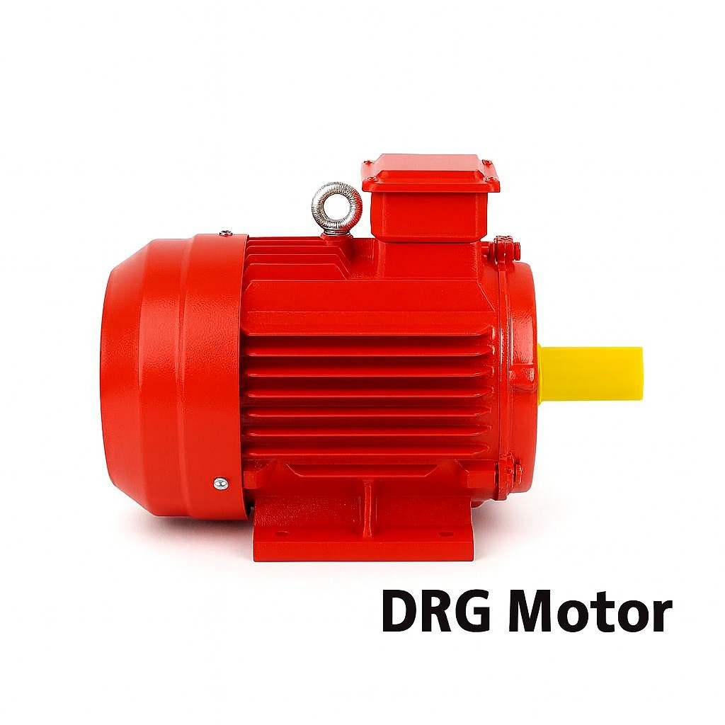 4 kw (5.5 HP) 3000 D/D 380 V Trifaze Elektrik Motoru - DRG MOTOR,