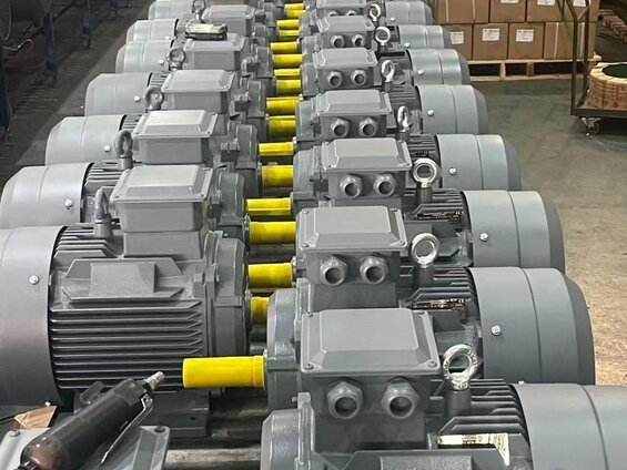 Düşük kW 3000 d/d Elektrik Motorları - DRG MOTOR,