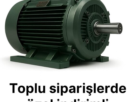 Uzun Ömürlü AC Elektrik Motoru