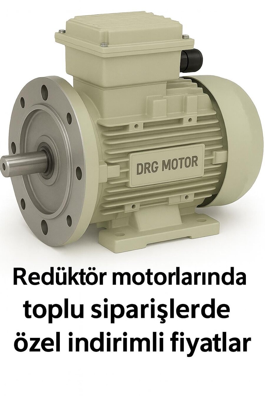 Düşük kW Elektrik Motoru İzmir