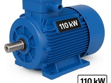 Moteurs électriques 110 kW à carter en fonte – DRG MOTOR,