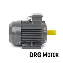 Electric Motors with Smart Technology – DRG MOTOR,