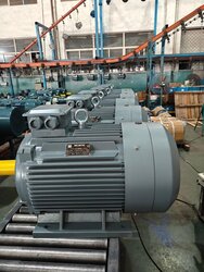 Motors for Stone Crushing Plants