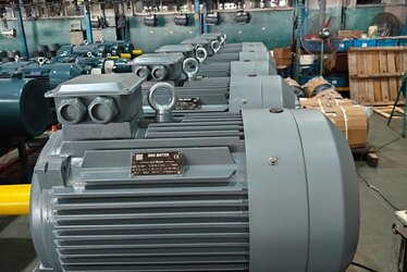 Motors for Stone Crushing Plants