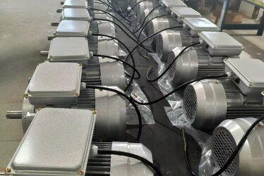 Cast Iron Body Electric Motors | With DRG MOTOR Assurance,