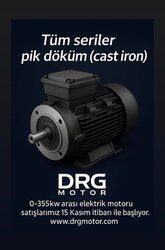 kW Electric Motor Sales in Izmir and throughout Türkiye – DRG MOTOR,