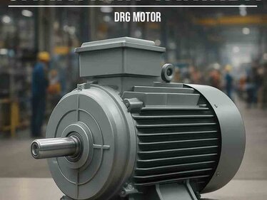 Moteurs électriques à haut rendement pour les installations industrielles -DRG MOTOR,