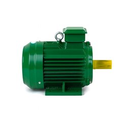 ELECTRIC MOTORS FOR CRANES