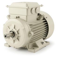 ELECTRIC MOTORS FOR CRANES AND LIFTING SYSTEMS