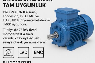 DRG Electric Motor Sales in Izmir and throughout Türkiye