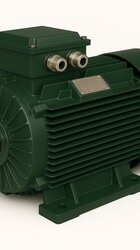 Cast Iron Electric Motor