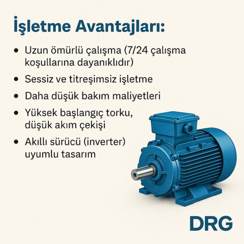 Taş Kırma Tesisi Elektrik Motorları (yüksek tork üreten motorlar) - DRG MOTOR,