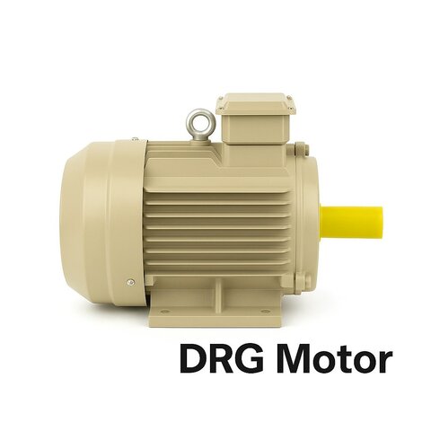 High kW Electric Motor in İzmir