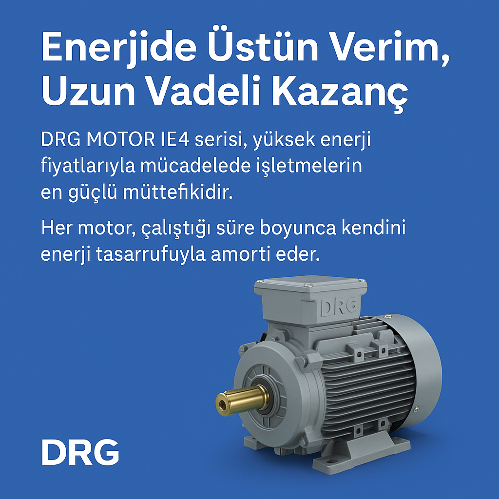 Cast Iron Body Electric Motor
