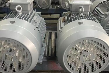 Single-Phase Electric Motor