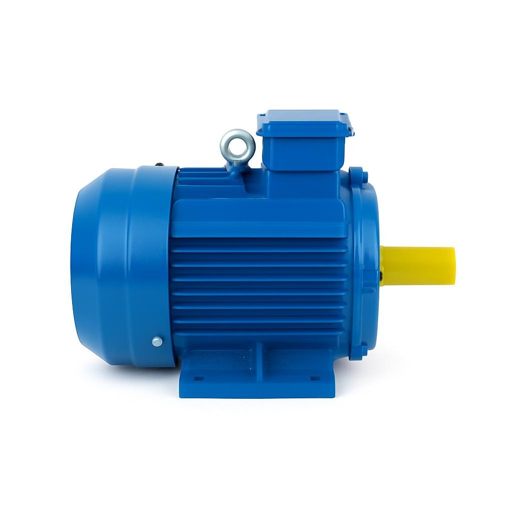 Three-Phase Electric Motor
