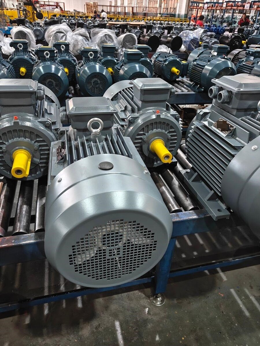 Yüksek kW DRG Elektrik Motorları