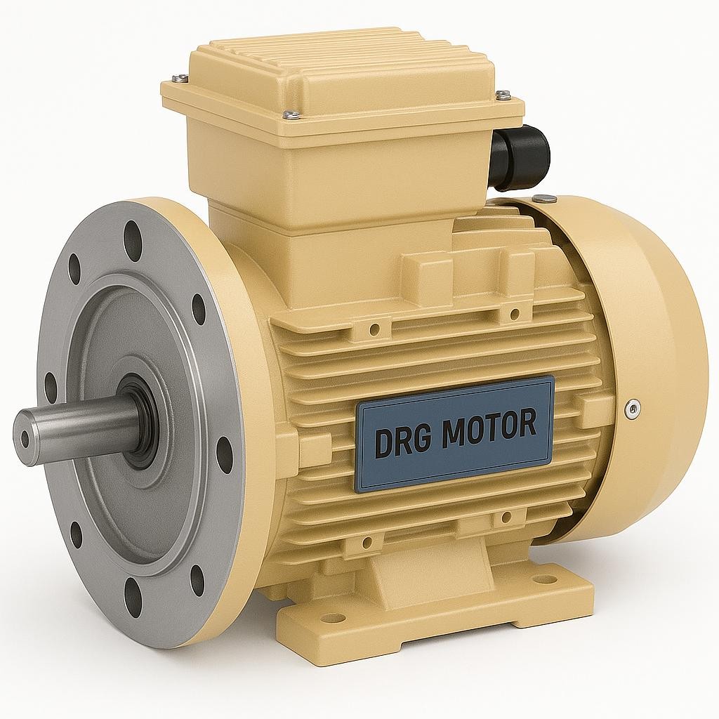 355 kW ya Kadar Yüksek Verimli Elektrik Motorları -  DRG MOTOR,