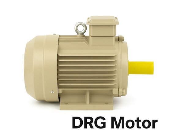 İZMİR Yüksek kW Elektrik Motorları