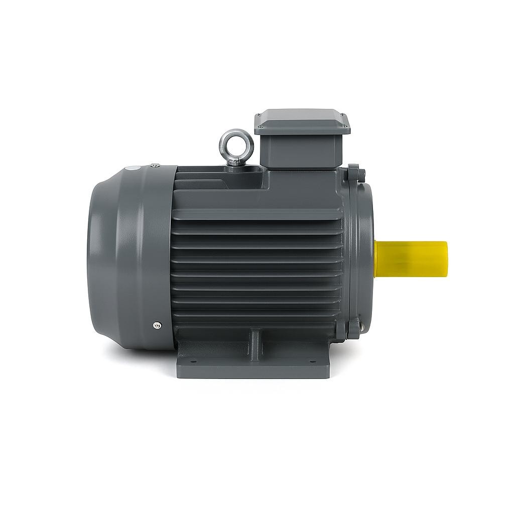 AC Electric Motor in Uşak