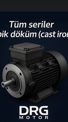 Taş Kırma Tesisi Elektrik Motorları (yüksek tork üreten motorlar) - DRG MOTOR