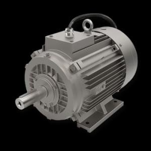 İzmir AC Motor