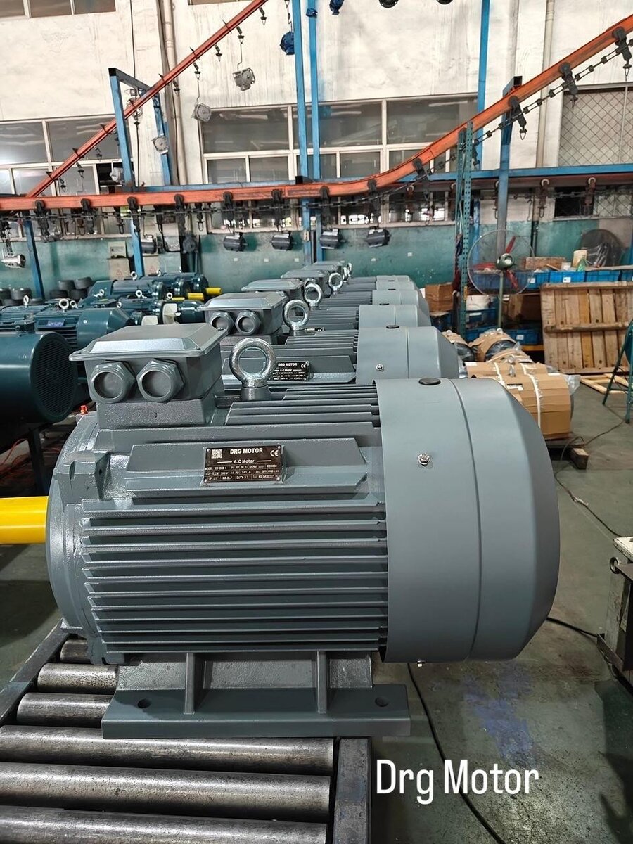 İzmir Heavy-Duty Electric Motors