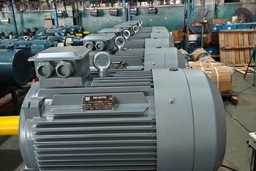 İzmir Heavy-Duty Electric Motors