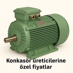 İzmir Alternatif Akım Elektrik Motoru