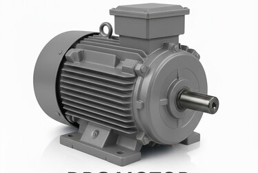 What is a Cast Iron Body Electric Motor - DRG Motor