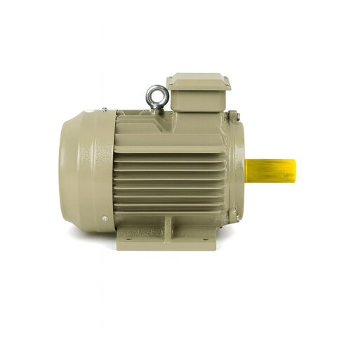 Elektrik Motoru IE4