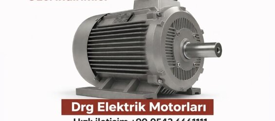 Industrial Induction Motors - DRG Motor