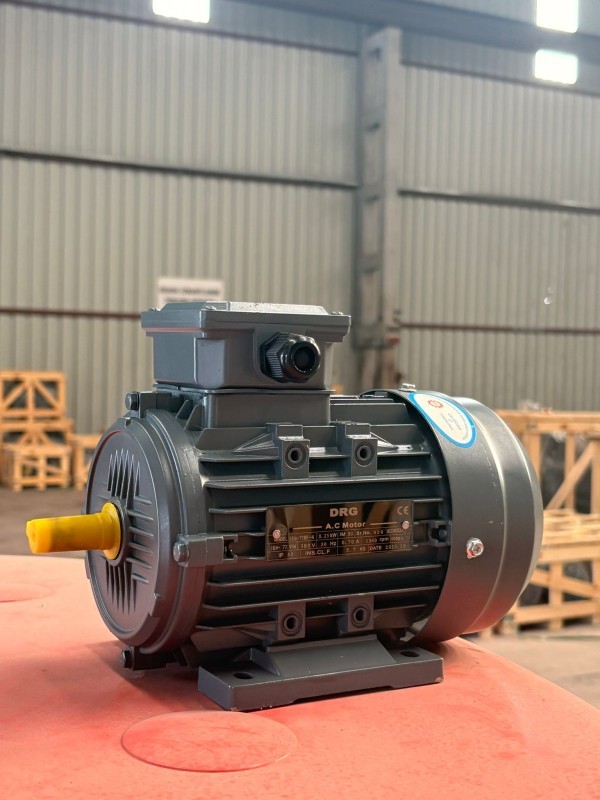 IE3 Elektrik Motorları