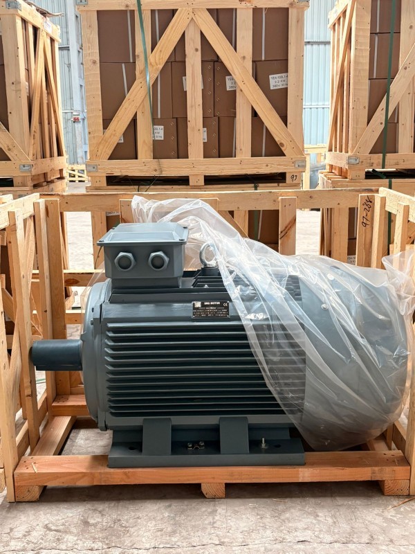 3 Fazlı Asenkron Elektrik Motorları