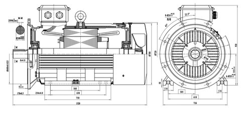 YE3-355-4-8,B35, shaft 100