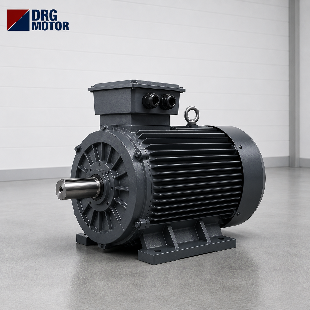 High-Efficiency Electric Motors